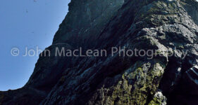 Cliffs of Boreray, St Kilda, Outer Hebrides.
